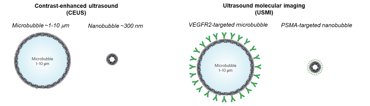 Nanobubbles and microbubbles