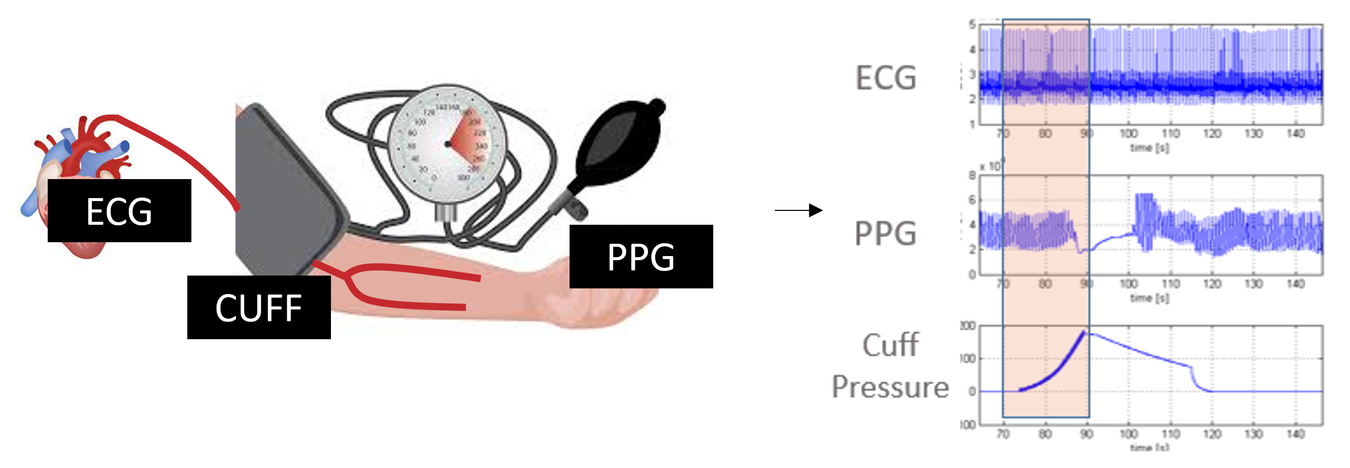 Hemodynamic measurements