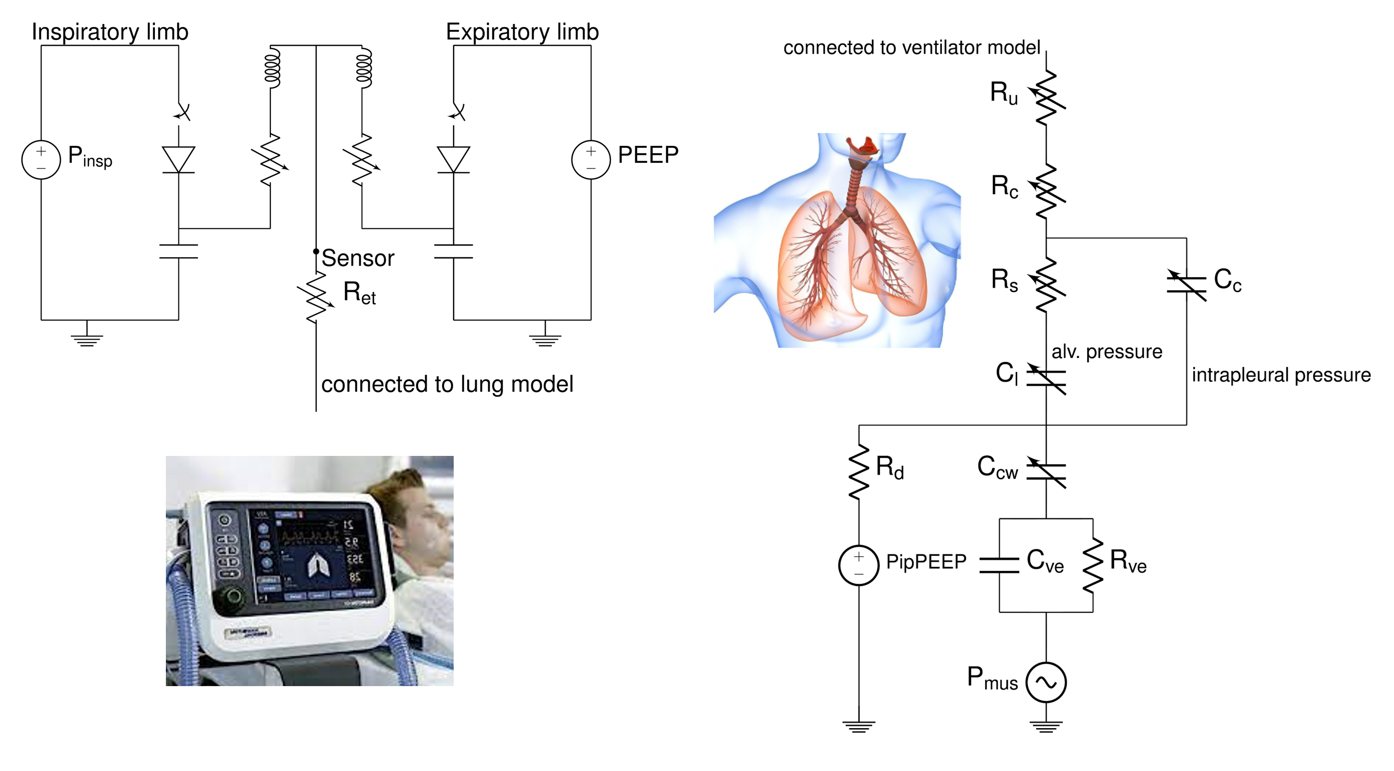 Electrical equivalents for lungs and ventilator